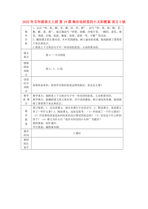 2022年五年級(jí)語(yǔ)文上冊(cè) 第19課 裝在信封里的小太陽(yáng)教案 語(yǔ)文S版