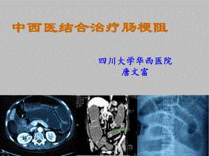 中西医结合治疗肠梗阻及循证证据幻灯片
