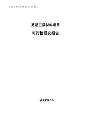 芜湖正极材料项目可行性研究报告