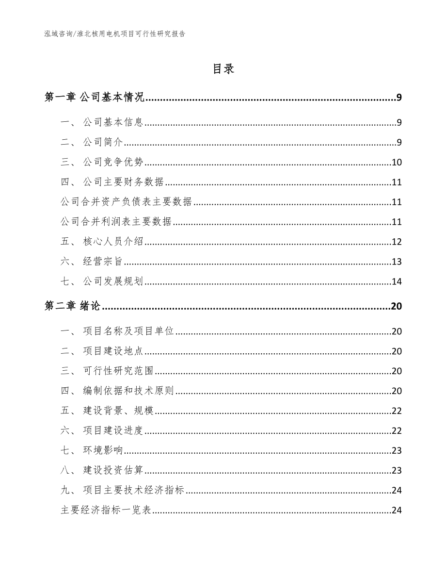 淮北核用电机项目可行性研究报告【范文】_第1页