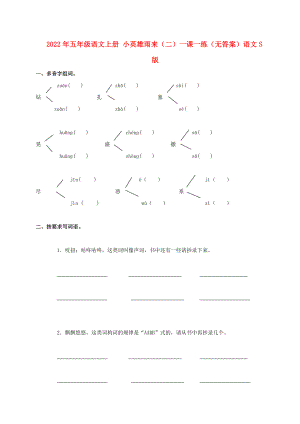 2022年五年級(jí)語文上冊(cè) 小英雄雨來（二）一課一練（無答案）語文S版