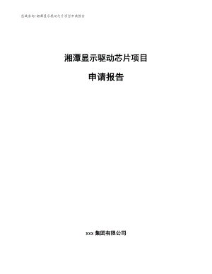 湘潭显示驱动芯片项目申请报告