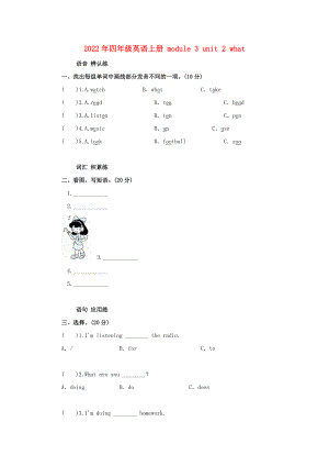 2022年四年級英語上冊 module 3 unit 2 what