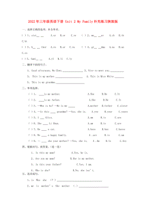 2022年三年級(jí)英語(yǔ)下冊(cè) Unit 2 My Family補(bǔ)充練習(xí)陜旅版