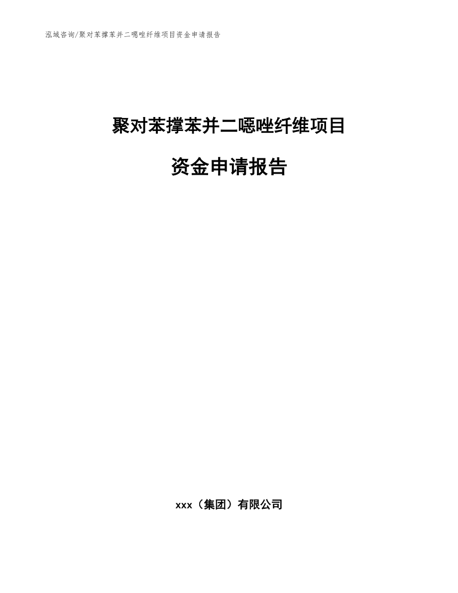 聚对苯撑苯并二噁唑纤维项目资金申请报告_第1页