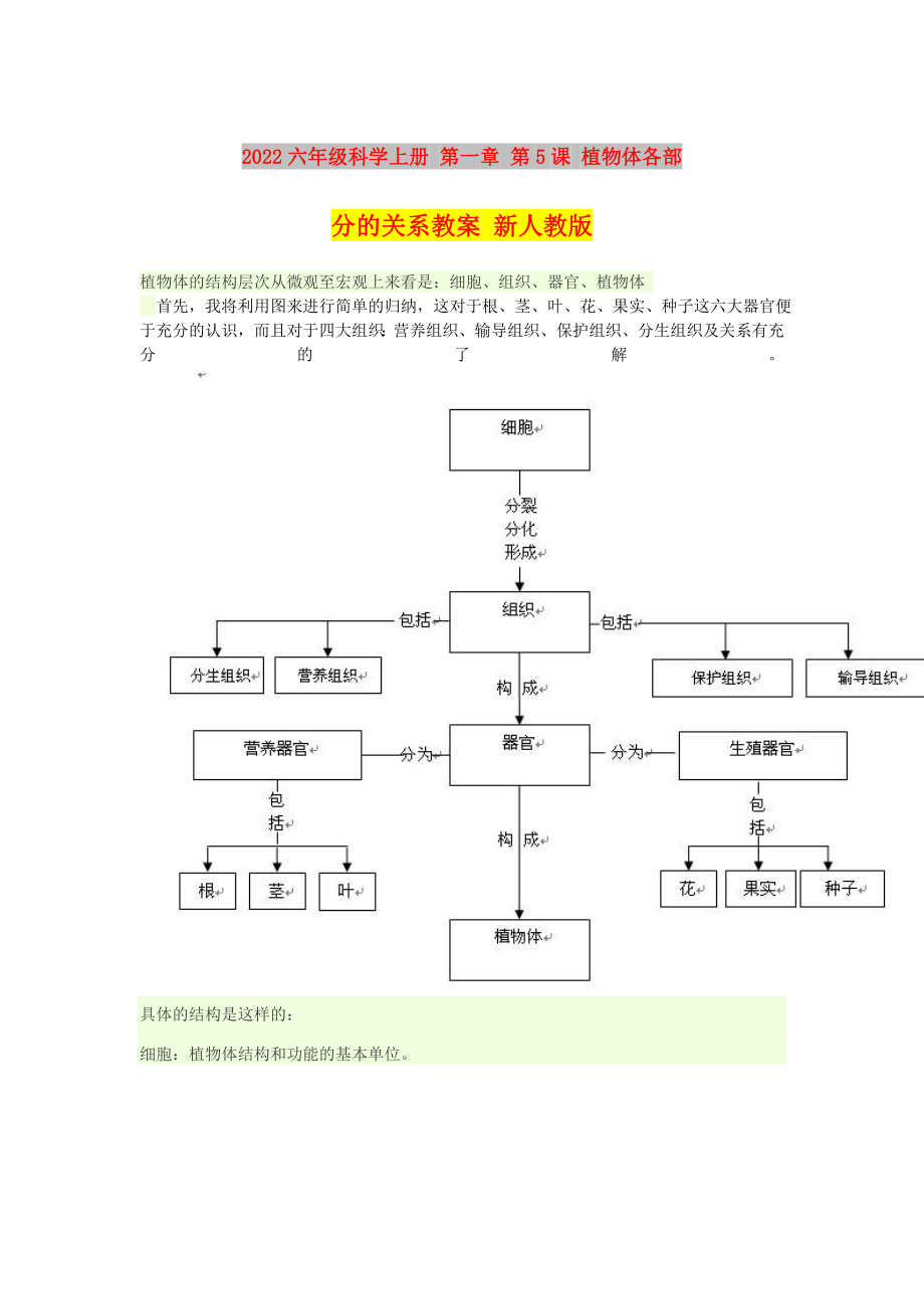 2022六年级科学上册 第一章 第5课 植物体各部分的关系教案 新人教版_第1页