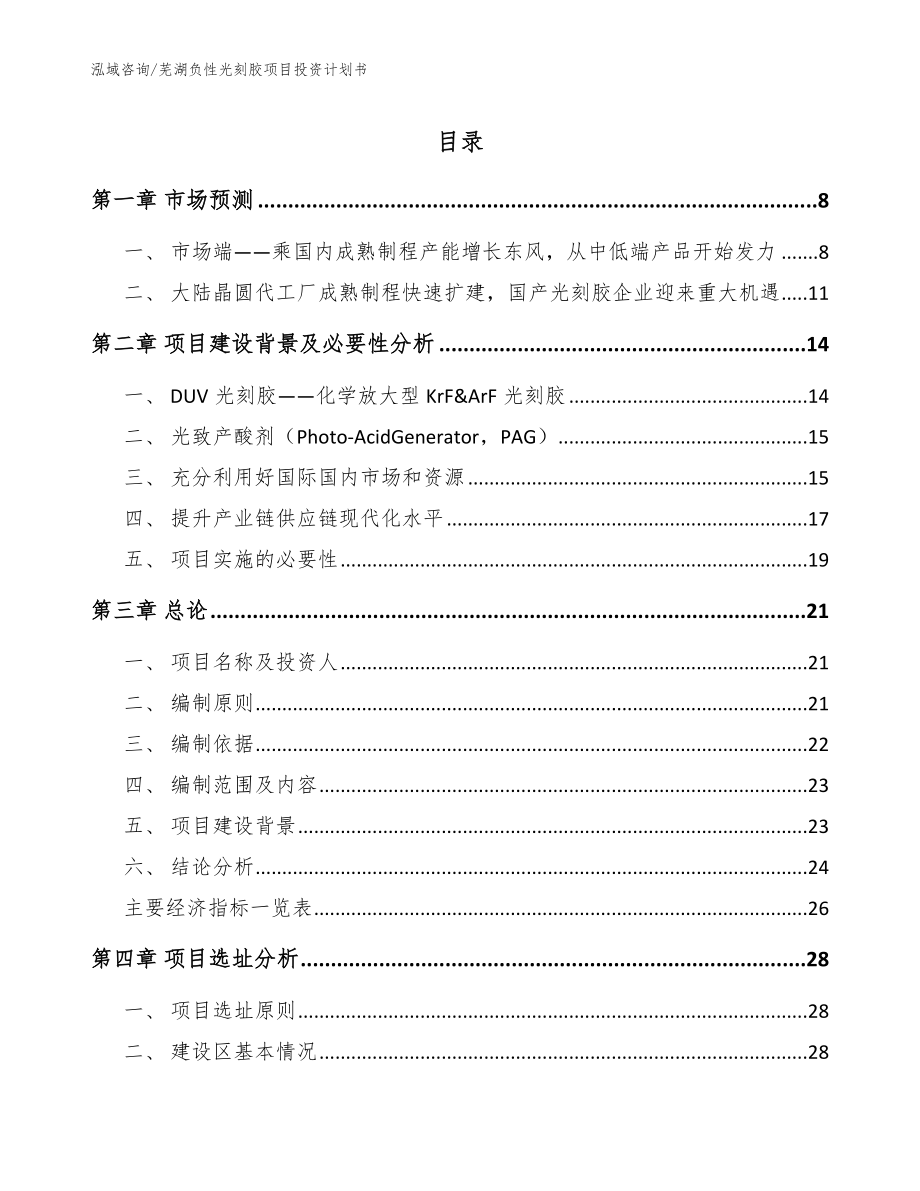 芜湖负性光刻胶项目投资计划书_范文参考_第1页