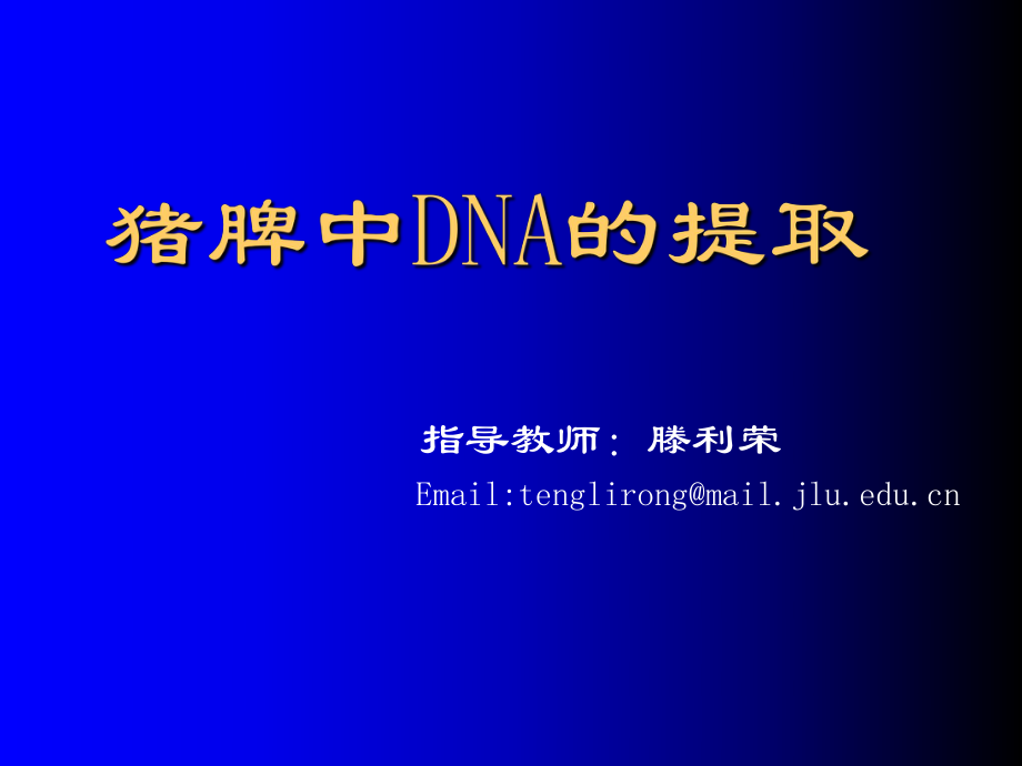 猪脾中DNA的提取及含量测定_第1页