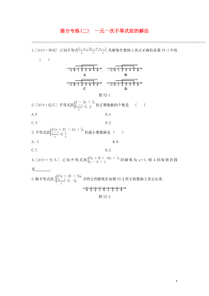 （鄂爾多斯專版）2020年中考數(shù)學(xué)復(fù)習(xí) 提分專練02 一元一次不等式組的解法