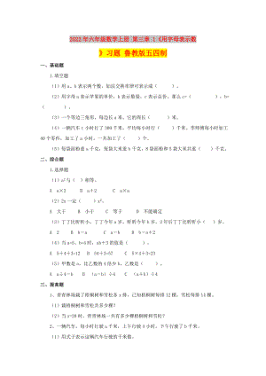 2022年六年級數(shù)學上冊 第三章 1《用字母表示數(shù)》習題 魯教版五四制