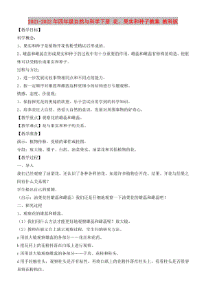 2021-2022年四年級自然與科學下冊 花、果實和種子教案 教科版