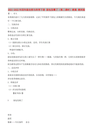 2021-2022年四年級自然與科學(xué)下冊 面包發(fā)霉了（第二課時）教案 教科版