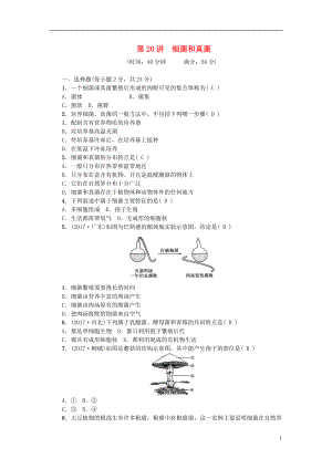 2018屆中考生物 第20講 細(xì)菌和真菌復(fù)習(xí)練習(xí)
