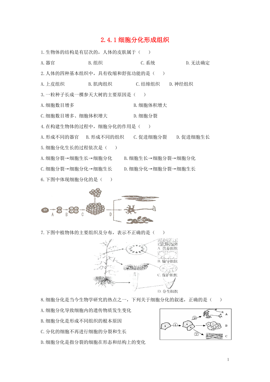 七年級生物上冊 第2單元 生物體的結構 第4章 生物體的結構層次 2.4.1 細胞分化形成組織同步練習（新版）北師大版_第1頁