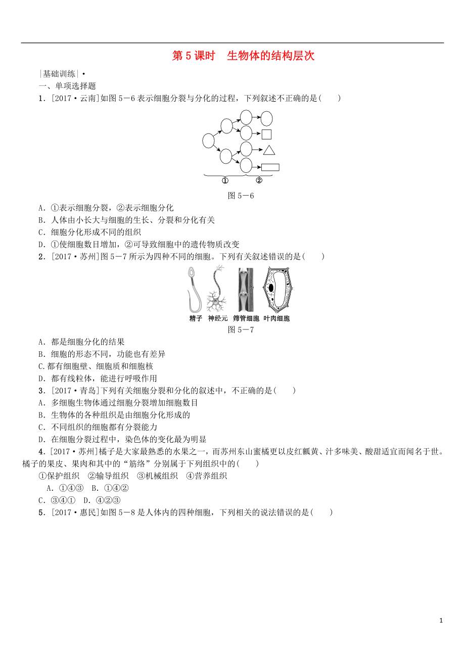 2018年中考生物 第二單元 生物體的結(jié)構(gòu)層次 第5課時(shí) 生物體的結(jié)構(gòu)層次課時(shí)作業(yè)_第1頁