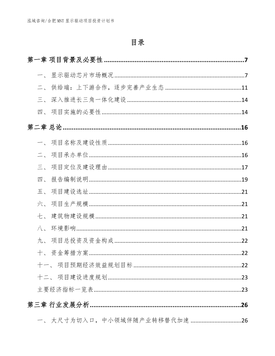 合肥MNT显示驱动项目投资计划书_模板参考_第1页