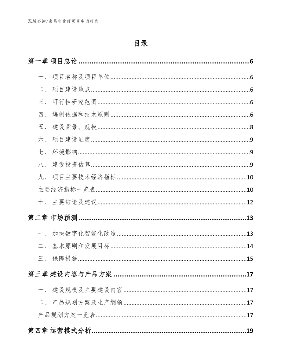 南昌市化纤项目申请报告【参考模板】_第1页