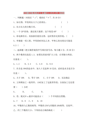 2021-2022年六年级数学下册模拟检测试题(VII)