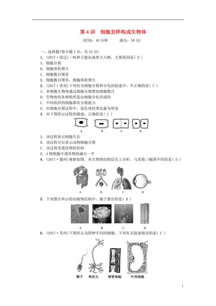 2018屆中考生物 第4講 細(xì)胞怎樣構(gòu)成生物體復(fù)習(xí)練習(xí)_第1頁(yè)