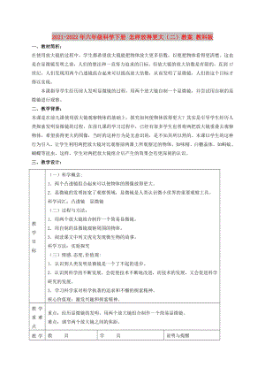 2021-2022年六年級(jí)科學(xué)下冊(cè) 怎樣放得更大（二）教案 教科版