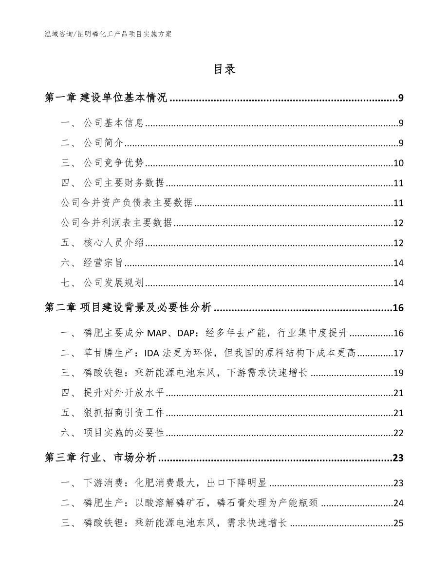 昆明磷化工产品项目实施方案【范文模板】_第1页