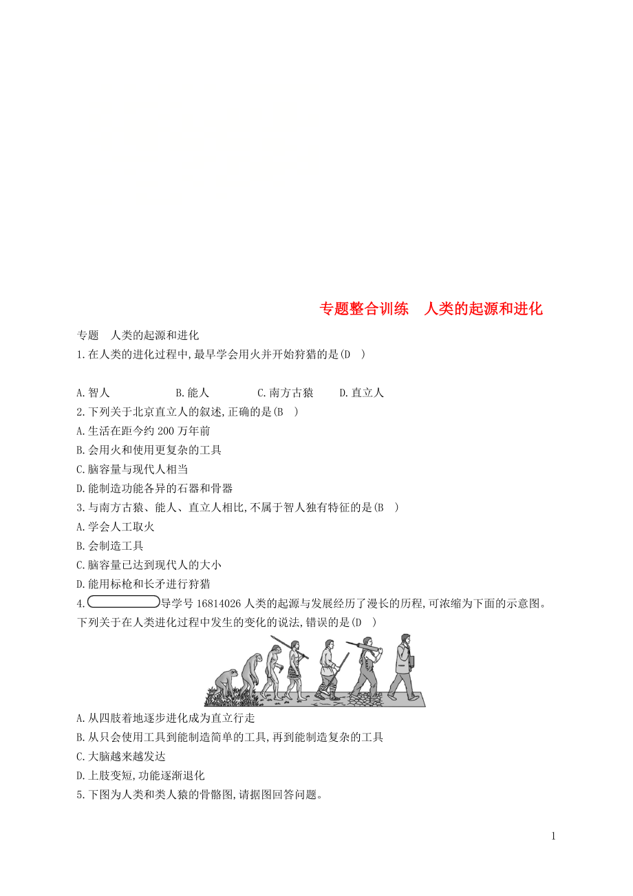 2017-2018學(xué)年八年級(jí)生物下冊(cè) 專題整合訓(xùn)練 人類的起源和進(jìn)化 （新版）濟(jì)南版_第1頁(yè)