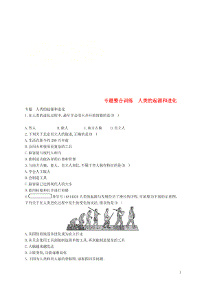 2017-2018學(xué)年八年級(jí)生物下冊(cè) 專題整合訓(xùn)練 人類的起源和進(jìn)化 （新版）濟(jì)南版