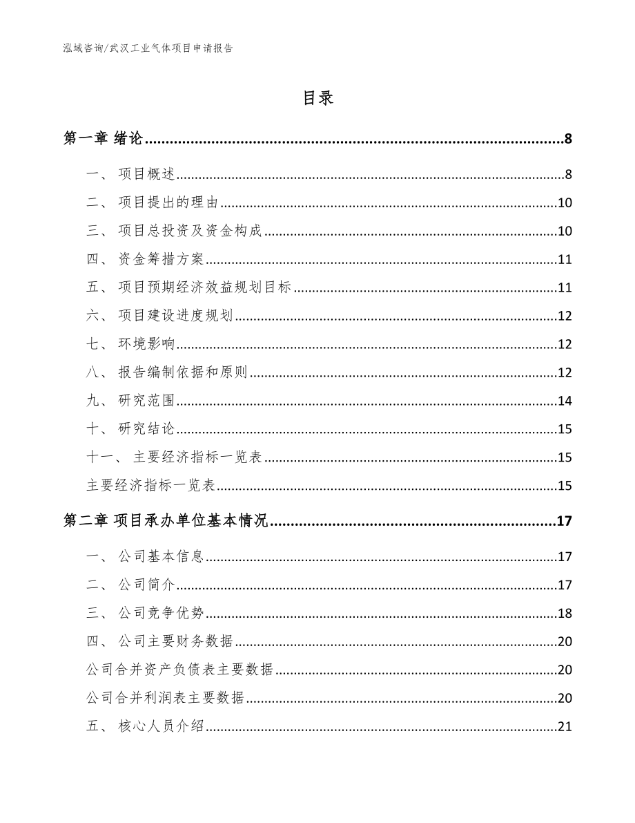 武汉工业气体项目申请报告（参考范文）_第1页