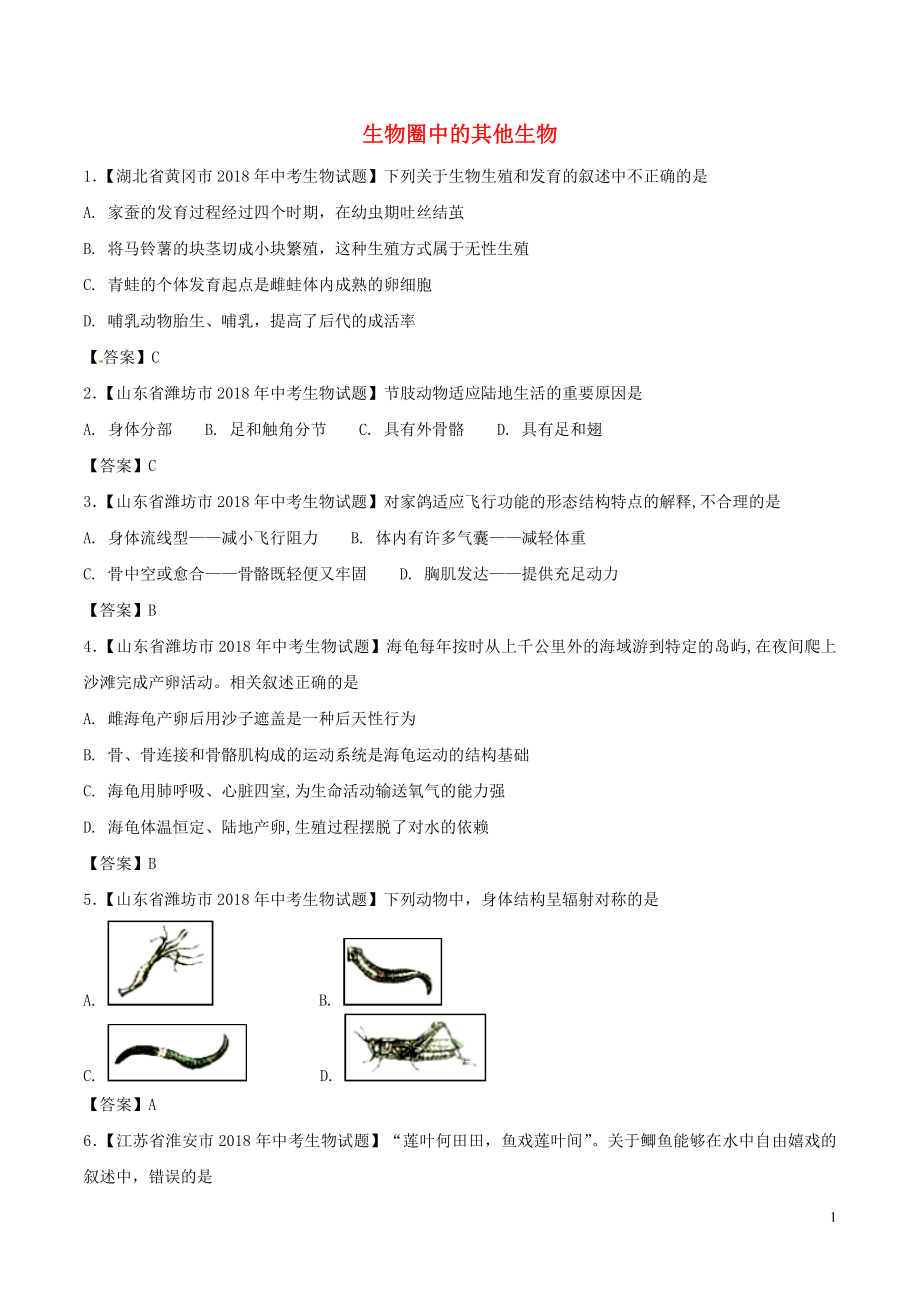 2018年中考生物 知識分類練習(xí)卷 生物圈中的其他生物_第1頁