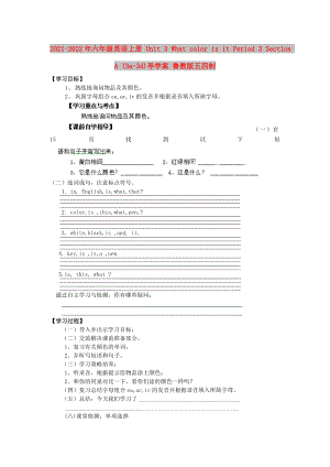 2021-2022年六年級(jí)英語上冊(cè) Unit 3 What color is it Period 3 Section A (3a-3d)導(dǎo)學(xué)案 魯教版五四制