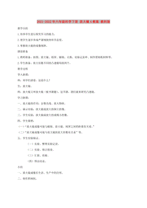 2021-2022年六年級科學下冊 放大鏡4教案 教科版