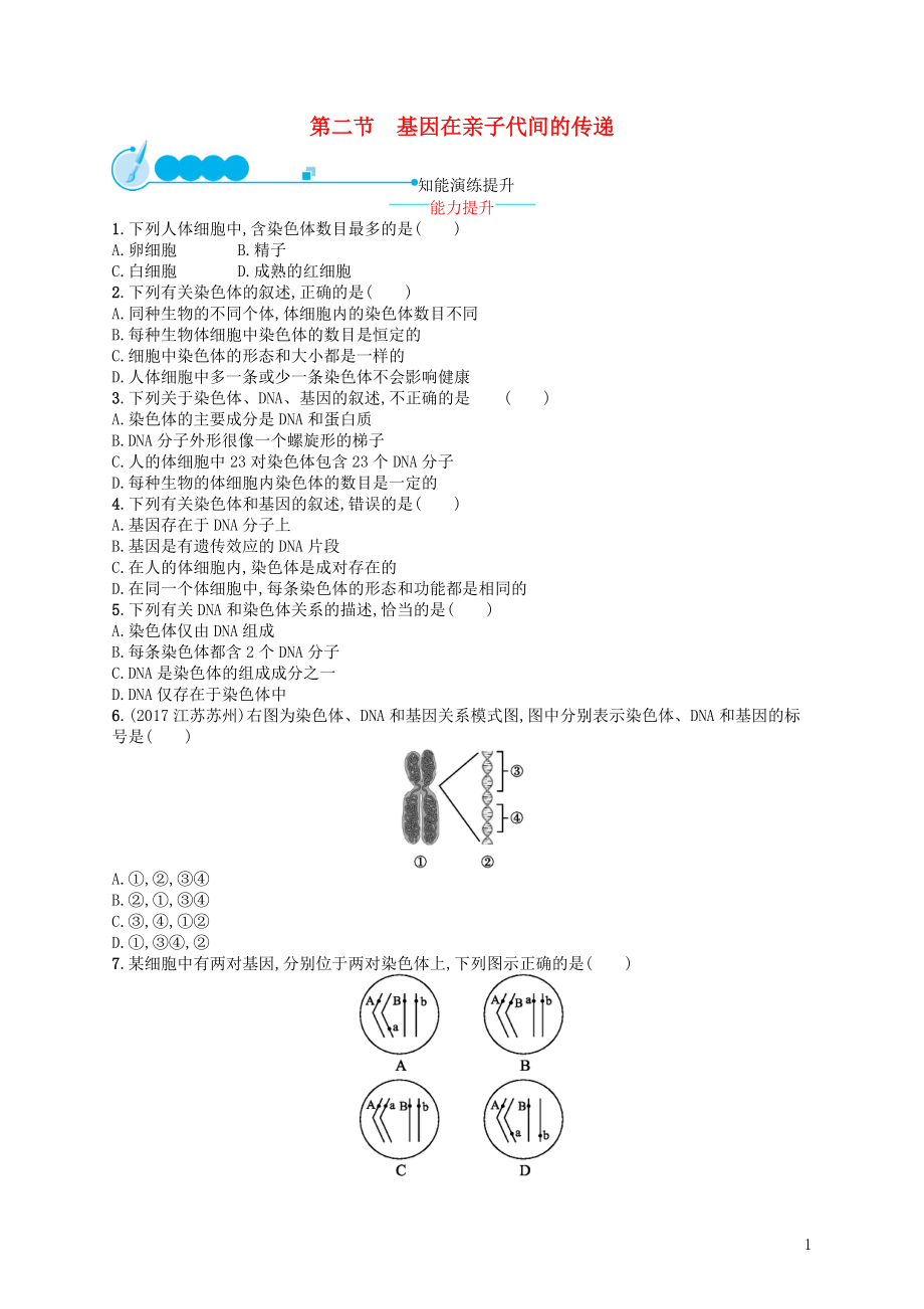 2017-2018學年八年級生物下冊 7.2.2 基因在親子代間的傳遞練習 （新版）新人教版_第1頁