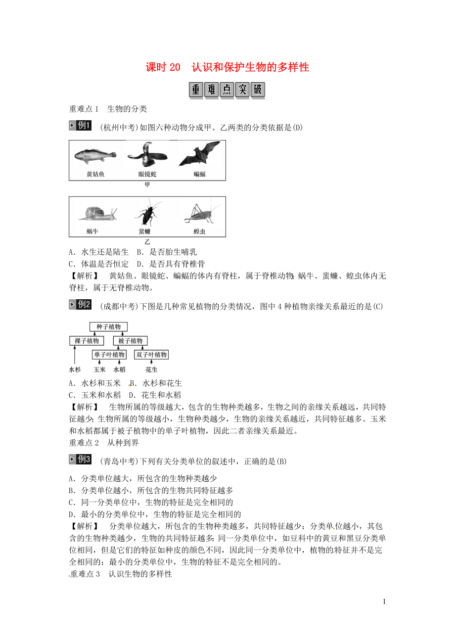 2019年中考生物总复习 主题七 生物的多样性 课时20 认识和保护生物的多样性_第1页