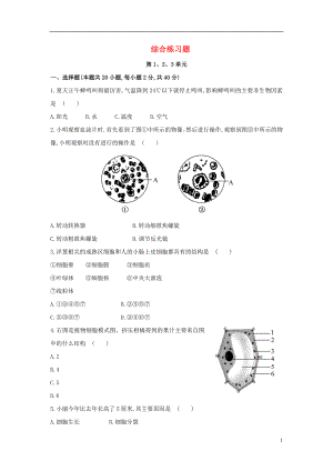 2017年中考生物 七上 綜合練習(xí)題 蘇教版