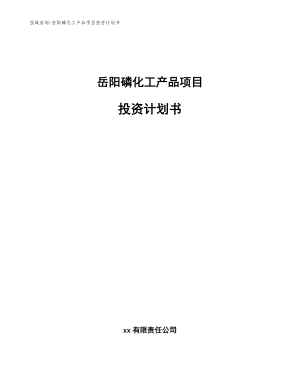 岳阳磷化工产品项目投资计划书【模板】