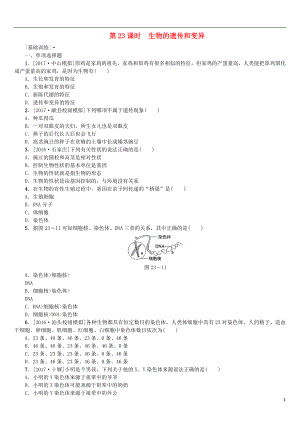 2018年中考生物 第六單元 生命的延續(xù)和發(fā)展 第23課時 生物的遺傳和變異課時作業(yè)