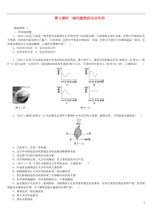 2018年中考生物 第三單元 生物圈中的綠色植物 第9課時 綠色植物的光合作用課時作業(yè)