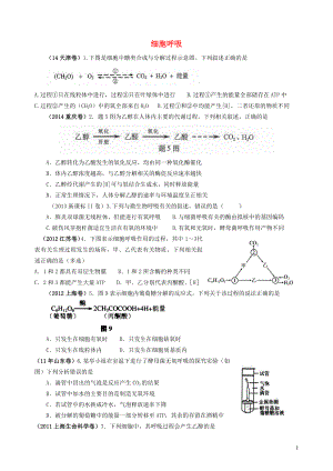 七年級生物上冊 第3單元 第5章 綠色開花植物的生活方式 第2節(jié) 呼吸作用練習題（新版）北師大版