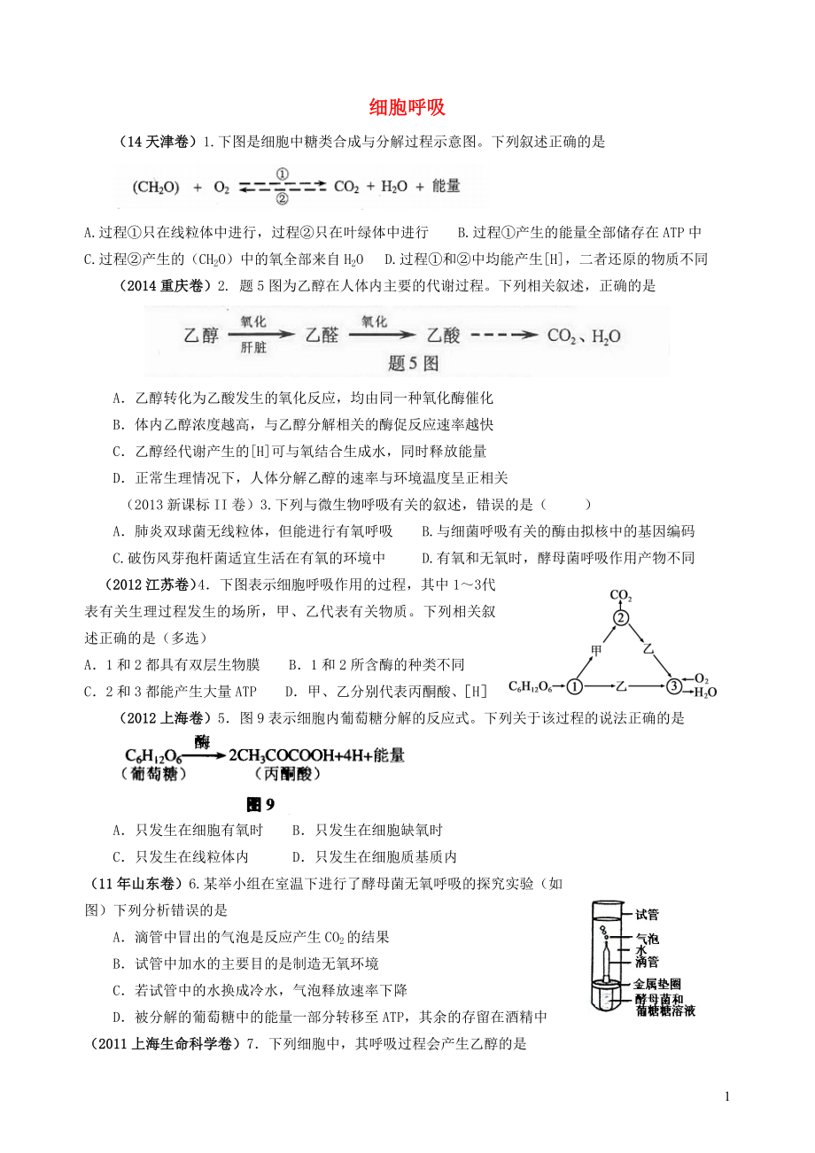 七年級生物上冊 第3單元 第5章 綠色開花植物的生活方式 第2節(jié) 呼吸作用練習(xí)題（新版）北師大版_第1頁