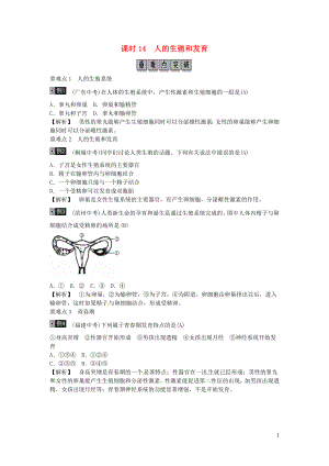 2019年中考生物總復(fù)習(xí) 主題六 生物的生殖和發(fā)育 遺傳與變異 課時14 人的生殖和發(fā)育