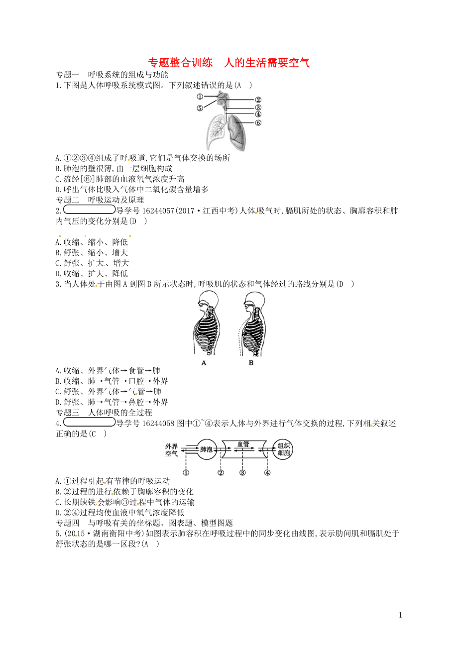 2017-2018學(xué)年七年級(jí)生物下冊(cè) 專題整合訓(xùn)練2 人的生活需要空氣 （新版）濟(jì)南版_第1頁(yè)