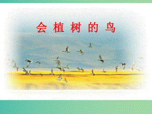 三年级语文上册《会植树的鸟》课件5 冀教版