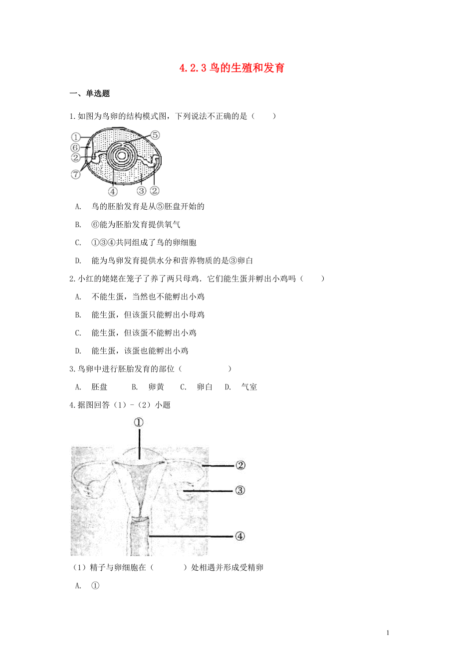 八年級生物上冊 第四單元 物種的延續(xù) 第二章 動物的生殖和發(fā)育 4.2.3 鳥的生殖和發(fā)育同步測試（含解析）（新版）濟南版_第1頁