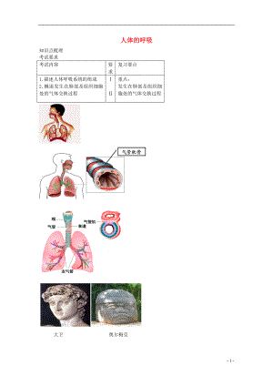 中考生物專題復(fù)習(xí) 九 人體的呼吸講義 新人教版