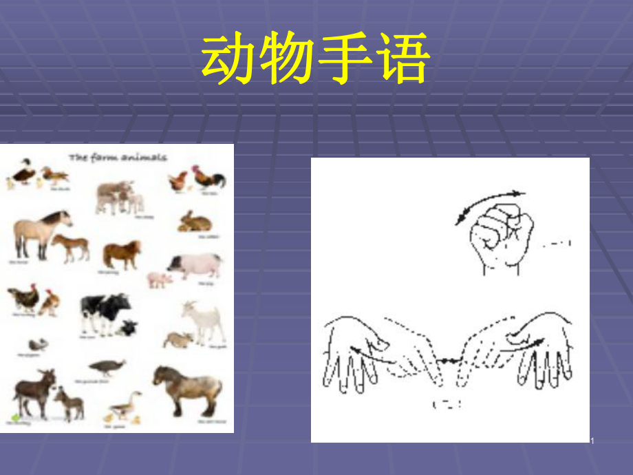 常见动物手语教学课堂PPT_第1页