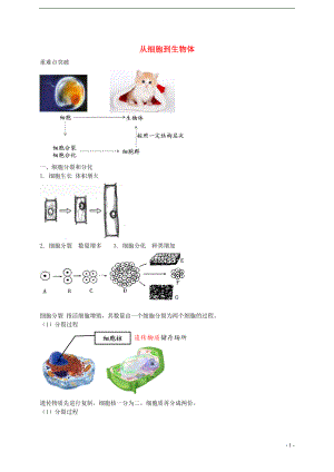 中考生物專題復習 三 從細胞到生物體講義 新人教版