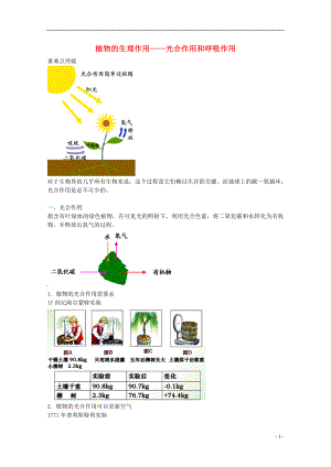 中考生物專(zhuān)題復(fù)習(xí) 六 綠色植物的光合作用和呼吸作用講義 新人教版