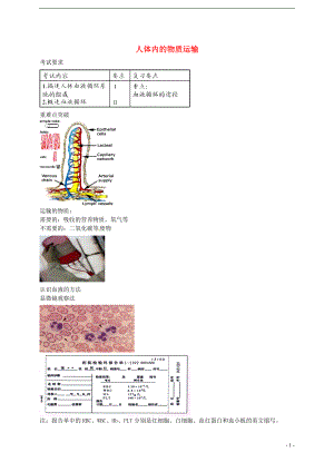 中考生物專題復(fù)習(xí) 十 人體內(nèi)的物質(zhì)運(yùn)輸講義 新人教版