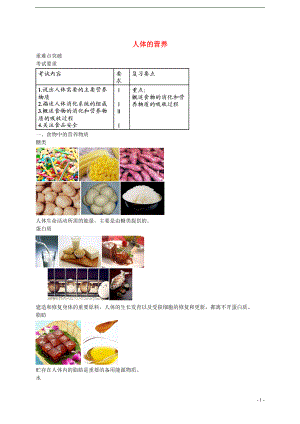 中考生物專題復(fù)習(xí) 八 人體的營養(yǎng)講義 新人教版