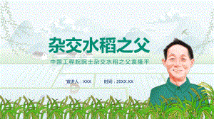 中国工程院院士杂交水稻之父袁隆平图文PPT课件模板